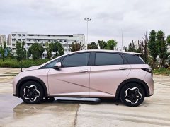 BYD Dolphin 405km Freedom Edition - фото 2