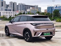 BYD Dolphin 405km Freedom Edition - фото 3