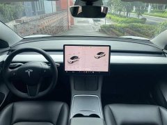 Tesla Model 3 Rear-Wheel Drive - ფოტო 3