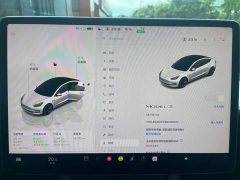 Tesla Model 3 Rear-Wheel Drive - ფოტო 9