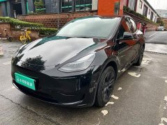 Tesla Model Y Rear-Wheel Drive - ფოტო 1