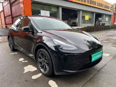Tesla Model Y Rear-Wheel Drive - ფოტო 10