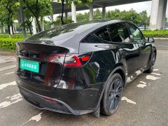 Tesla Model Y Rear-Wheel Drive - ფოტო 13