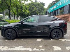 Tesla Model Y Rear-Wheel Drive - ფოტო 14