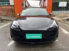 Tesla Model Y Rear-Wheel Drive - ფოტო 2