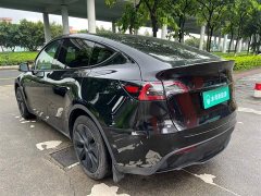 Tesla Model Y Rear-Wheel Drive - ფოტო 6