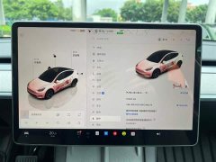 Tesla Model Y Rear-Wheel Drive - ფოტო 9