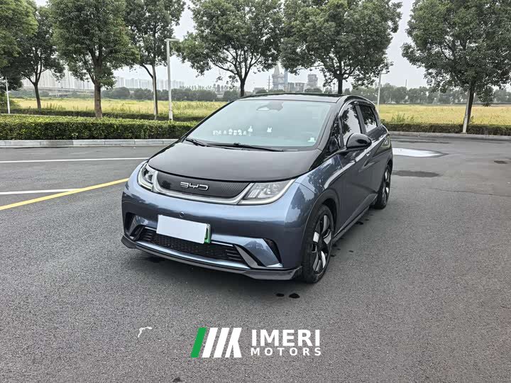 BYD Dolphin 401km Knight Edition