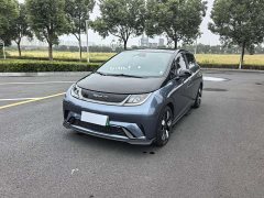 BYD Dolphin 401km Knight Edition - ფოტო 1