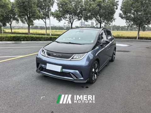 2023 BYD Dolphin 401km Knight Edition