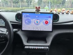 BYD Dolphin 401km Knight Edition - ფოტო 15