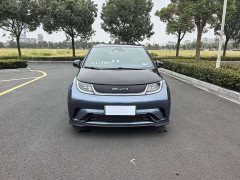 BYD Dolphin 401km Knight Edition - ფოტო 2