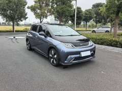 BYD Dolphin 401km Knight Edition - ფოტო 3