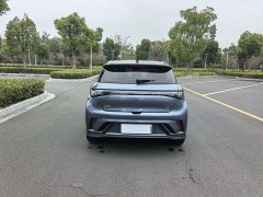 BYD Dolphin 401km Knight Edition - ფოტო 6