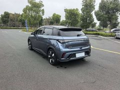 BYD Dolphin 401km Knight Edition - ფოტო 7
