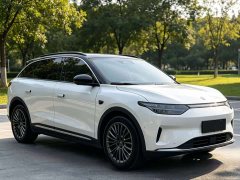 Leapmotor Leapo C11 Pure Electric 580 Premium Edition - photo 3