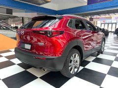 Mazda CX-30 2.0L Version - ფოტო 19