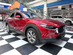 Mazda CX-30 2.0L Version - ფოტო 7