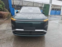 Wuling Starlight L 260km Six-Seat Flagship - photo 2