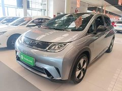 BYD Dolphin 420km Fashion Edition - photo 1