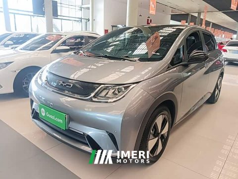 2024 BYD Dolphin 420km Fashion Edition - car from China