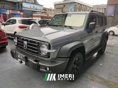 2022 Tank 300 Off-Road Edition 2.0T Conqueror - ავტომობილი ჩინეთიდან