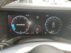 Tank 300 Off-Road Edition 2.0T Conqueror - ფოტო 7