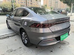 BYD Qin PLUS Glory Edition DM-i 55KM Leading - фото 4