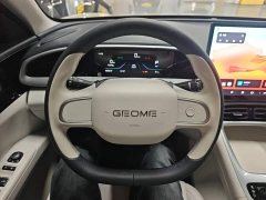 Geely Star Wish 410km Freedom Edition - ფოტო 10