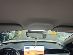 Geely Star Wish 410km Freedom Edition - ფოტო 17