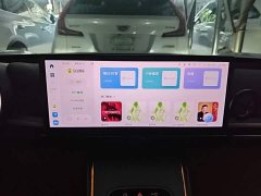 ORA Lightning Cat 555km Deluxe Edition - ფოტო 12