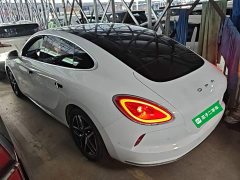 ORA Lightning Cat 555km Deluxe Edition - ფოტო 4