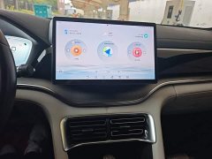 BYD Song Plus New Energy Champion Edition EV 520KM Luxury - фото 12