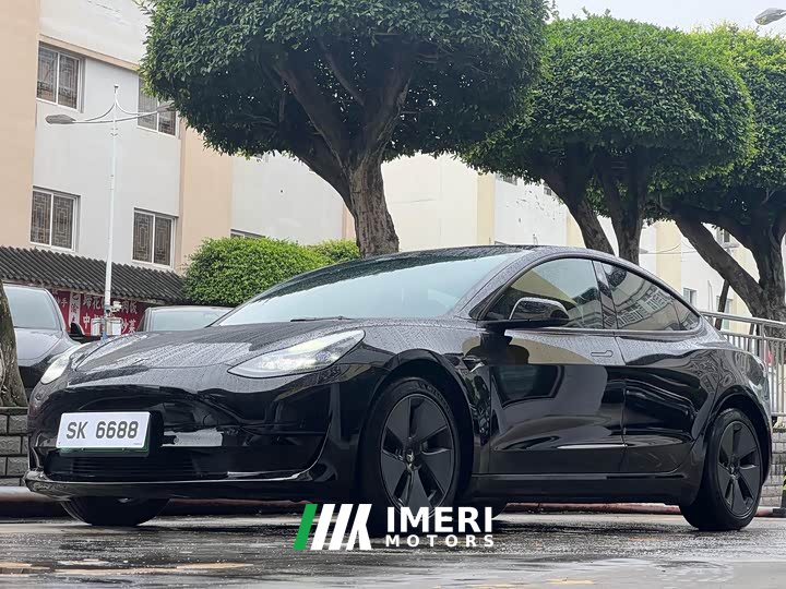 Tesla Model 3 rear-wheel drive version