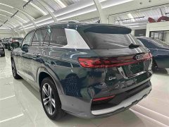 Audi Q6 45 TFSI quattro Qiyun Edition Yulin Package - photo 20