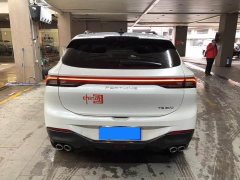 Dongfeng Fenxing T5 EVO 1.5T DCT Diamond Edition - photo 11