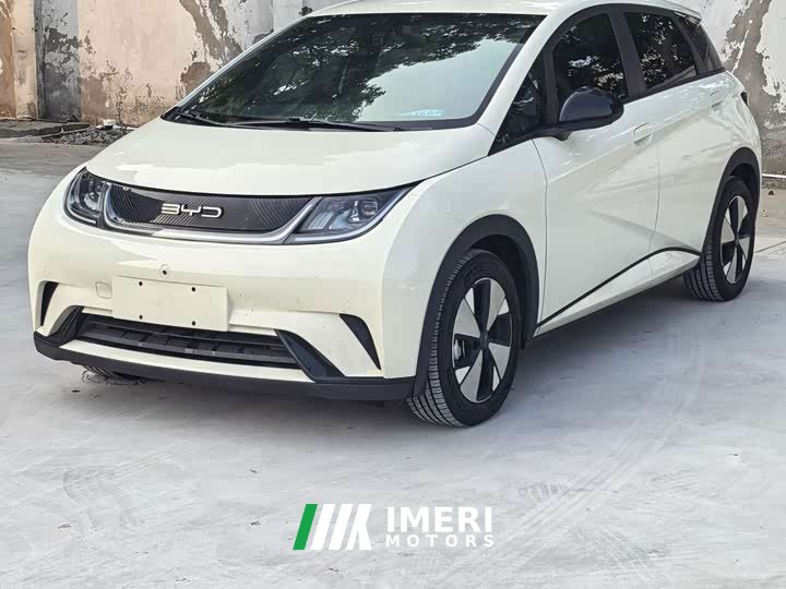 BYD Dolphin 420km Freedom Edition - ავტომობილი ჩინეთიდან