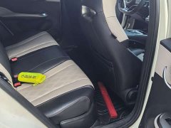 BYD Dolphin 420km Freedom Edition - ფოტო 12