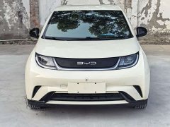 BYD Dolphin 420km Freedom Edition - ფოტო 2