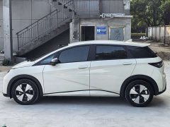 BYD Dolphin 420km Freedom Edition - ფოტო 3