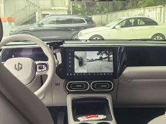 Leapmotor Leapo C11 Pure Electric 500 Comfort Edition - photo 11