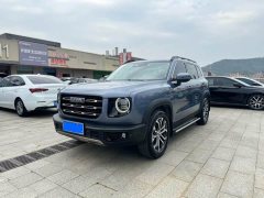 Great Wall Dachshund 1.5T DCT Two-Wheel Drive Border Collie Edition - photo 1