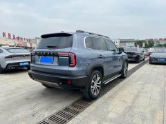 Great Wall Dachshund 1.5T DCT Two-Wheel Drive Border Collie Edition - photo 10