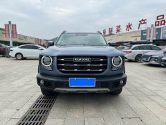 Great Wall Dachshund 1.5T DCT Two-Wheel Drive Border Collie Edition - photo 2