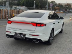 Geely Xingrui 2.0T Diesel Elite - ფოტო 4
