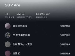 Xiaomi SU7 Rear-Wheel Drive Ultra-Long Range Advanced Autonomous Driving Pro - фото 2