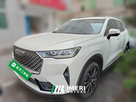 2021 Haval H6 Third Generation 1.5T Automatic Two-Wheel Drive Pro - автомобиль из Китая