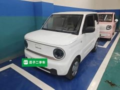 Geely Panda Mini 200km Endurance Edition - ფოტო 1