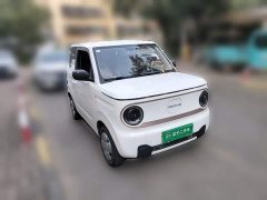 Geely Panda Mini 200km Endurance Edition - ფოტო 3