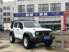 Tank 300 Off-Road Edition 2.0T Conqueror - ფოტო 4